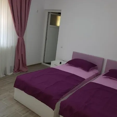 Casa Iulia Guest house *